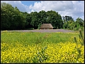 klicken zum vergrößern